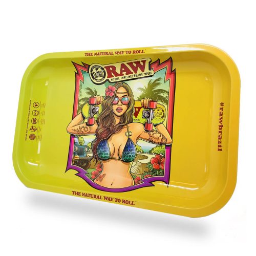 wholesale raw rolling tray brazil 2